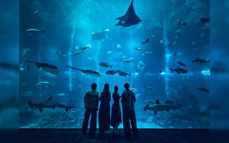 S.E.A. Aquarium
